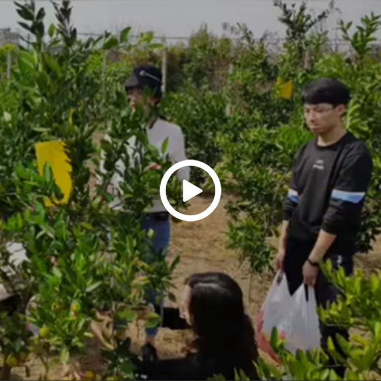 Lingqi Sales Team Help Farmers